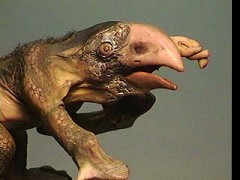 The Mossback